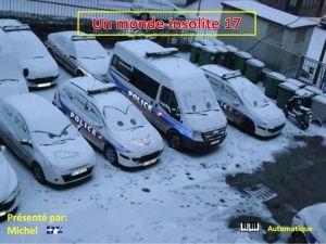 un_monde_insolite_17_michel
