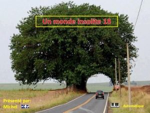 un_monde_insolite_18_michel