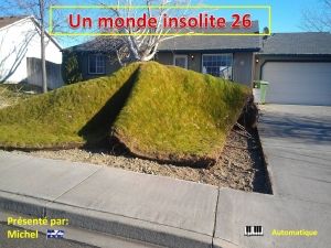 un_monde_insolite_26_michel