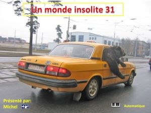 un_monde_insolite_31_michel