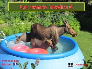 un_monde_insolite_6_michel