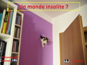 un_monde_insolite_7_michel