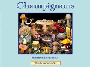 champignons_papiniel