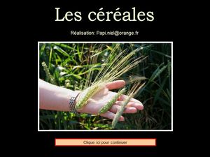 les_cereales_papiniel