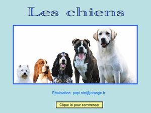 les_chiens_papiniel