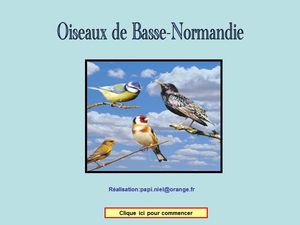 oiseaux_papiniel