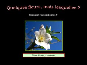 quelques_fleurs_papiniel