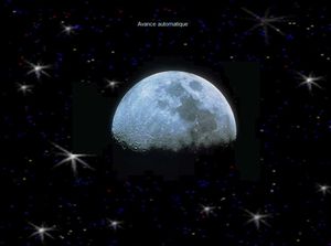 biodiversite_volet_1_papiniel