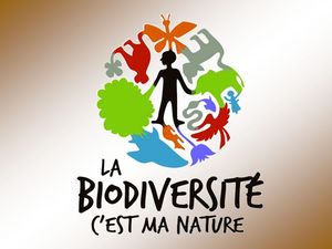 biodiversite_volet_3_papiniel