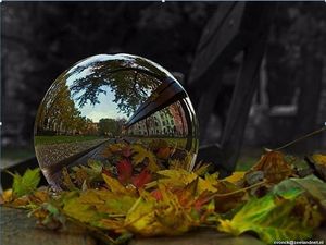 creative_nature_photographie