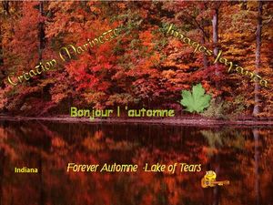 l_automne_dans_le_monde_1_marinette