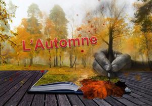 l_automne_mimi_40