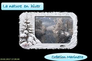 la_nature_en_hiver_marinette