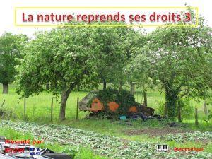 la_nature_reprends_ses_droits_3_michel