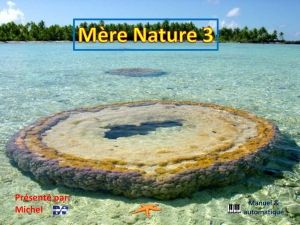 mere_nature_3_michel