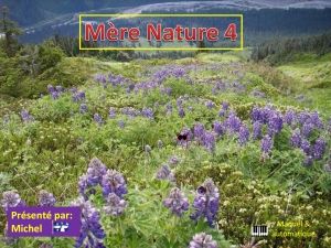 mere_nature_4_michel