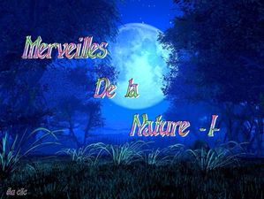 merveilles_de_la_nature_1_dede_51