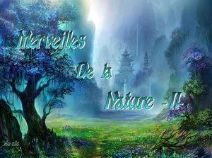 merveilles_de_la_nature_2_dede_51