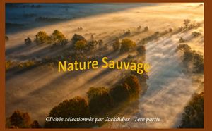 narure_sauvage_1_jackdidier