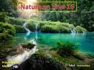 nature_en_reve_16_michel