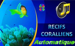 recifs_coralliens_chantha