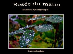 rosee_du_matin_papiniel