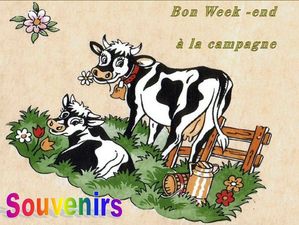 souvenirs_bon_weekend_a_la_campagne