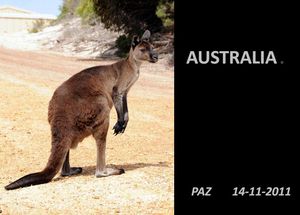 australia_2