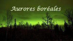 aurores_boreales_mimi_40