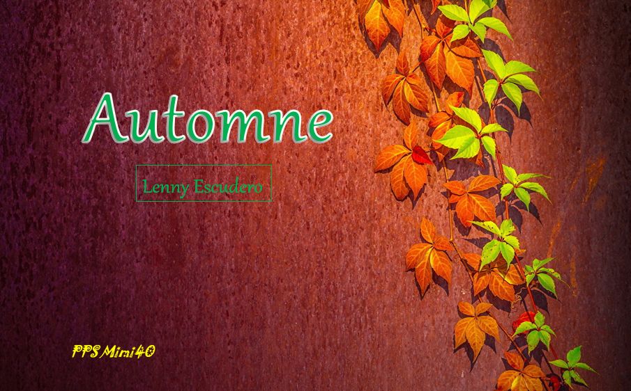 automne_mimi_40