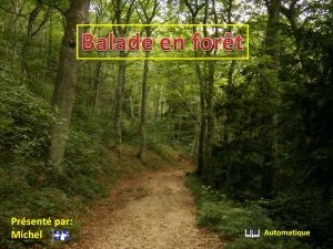 balade_en_foret_michel