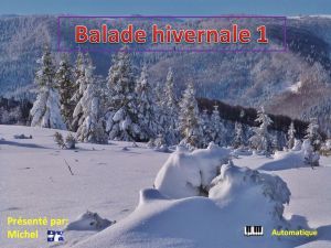 balade_hivernale_1_michel