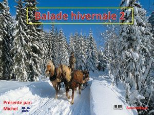 balade_hivernale_2_michel