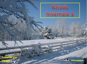 balade_hivernale_3_michel