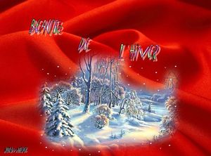 beaute_de_l_hiver_dede_51