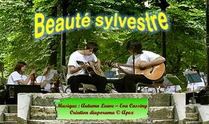 beaute_sylvestre_apex