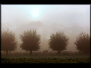 fog_ou_brouillard