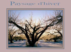 hiver_papiniel