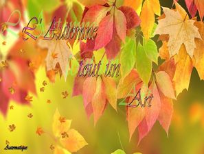 l_automne_tout_un_art_dede_51