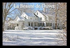 la_beaute_de_l_hiver_pancho