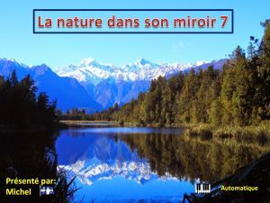 la_nature_dans_son_miroir_7_michel