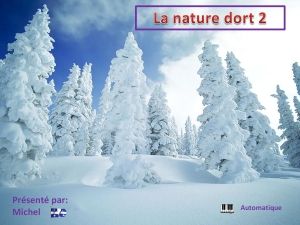 la_nature_dort_2_michel