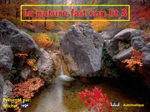 la_nature_fait_son_lit_3_michel