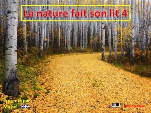 la_nature_fait_son_lit_4_michel