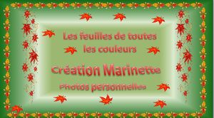 les_feuilles_d_automne_de_toutes_les_couleurs_marinette