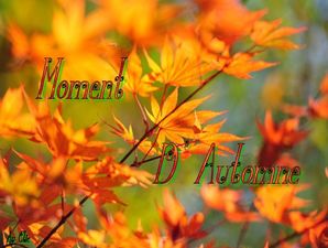 moment_d_automne_dede_51