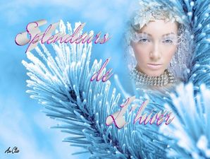 splendeurs_de_l_hiver_dede_51