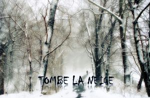 tombe_la_neige_mimi_40