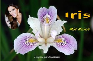 iris_miss_univers_1_jackdidier