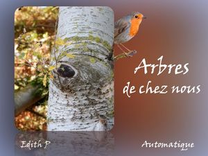 arbres_de_chez_nous_edith_p